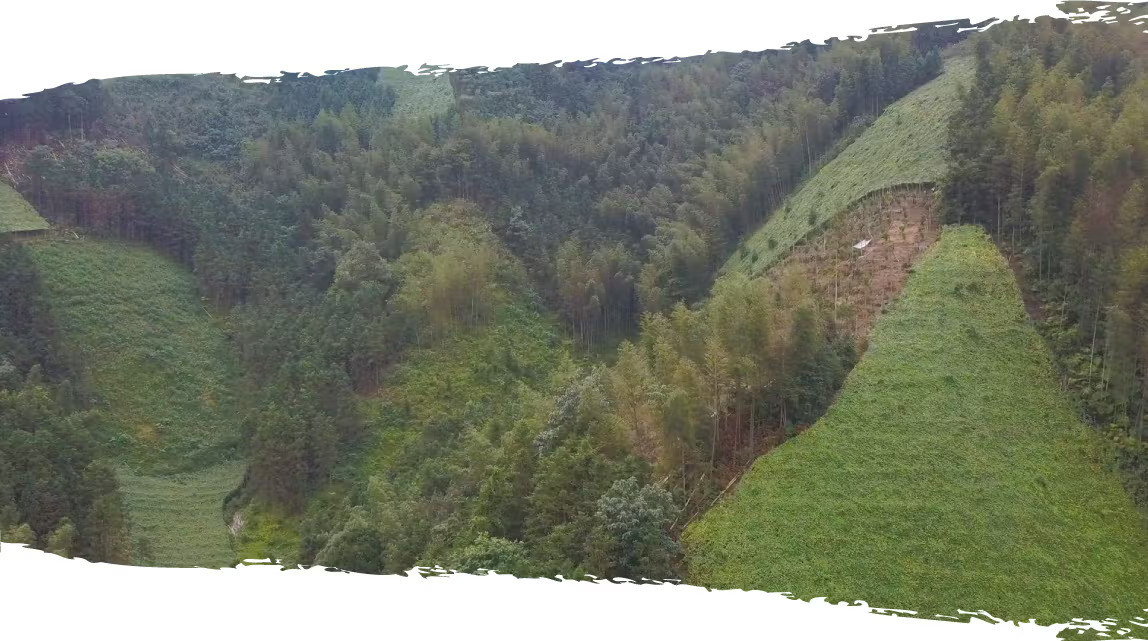 Clean Green Monk Fruit Farm